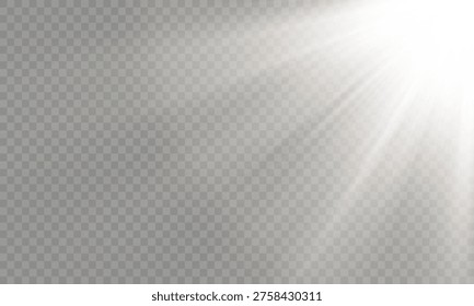 Spotlight fondo transparente 