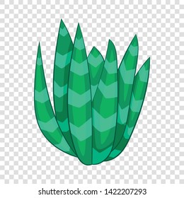 Spotted agave icon. Cartoon illustration of spotted agave vector icon for web
