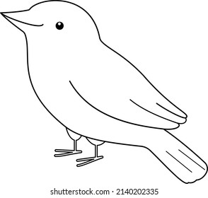 Spotted Back Weaver outline Small Bird line art illustration 