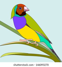 spotted a bird on a branch