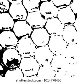 Spotted black and white grunge vector line background. Abstract halftone illustration background. Grunge grid polka dot background pattern
