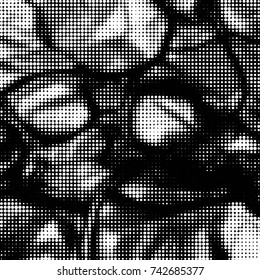 Spotted black and white grunge vector line background. Abstract halftone illustration background. Grunge grid polka dot background pattern