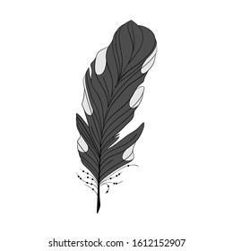 Spotted black and white woodpecker feather. Hand drawn doodle. isolated on white background.