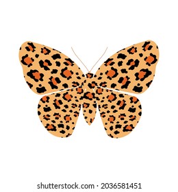 Spotted butterfly on a white background. Trendy leopard print. Vector.