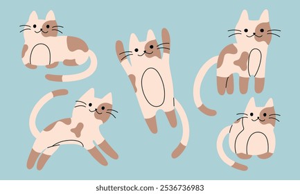 Katze. Nettes Haustier in verschiedenen Posen. Lustiger Kätzchencharakter. Haustiersammlung einzeln auf blauem Hintergrund. Flache Cartoon-Vektorgrafik.