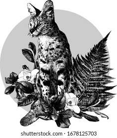 spotted cat of Serval breed sits at full height and looks away round composition of flowers and leaves of Magnolia and branches of a fern, sketch vector graphics monochrome illustration