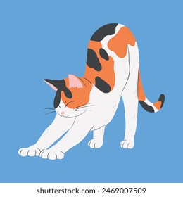 A spotted cat stretches its back. A cute cat with orange and black spots. Vector illustration isolated on blue background.