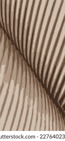 Spotted colored background with stripes. Vector illustration