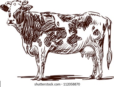 spotted cow