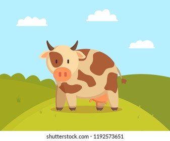 Spotted cow graze on lawn vector illustration, image of domestic animal with small horns and udder for milk production, green meadow with pretty pet Spotted cow graze on lawn vector illustration, image of domestic animal with small horns and udder for milk production, green meadow with pretty pet