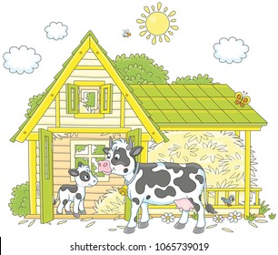 Spotted cow and her small calf near their barn on a milk farm, a vector illustration in cartoon style