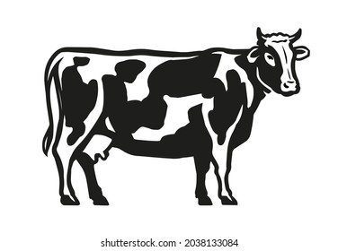 Spotted cow isolated on white background. Dairy food concept. Outline drawing vector illustration