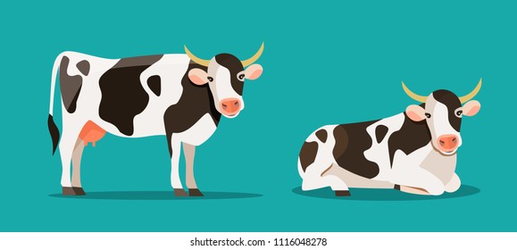 Spotted cow is standing and lying isolated. Vector flat style illustration