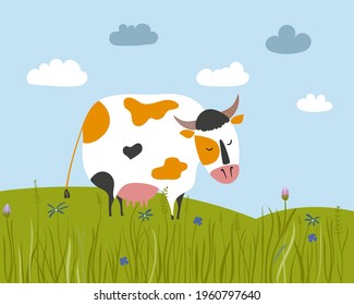 Spotted cow stands in the meadow. Vector landscape with flower fields. 