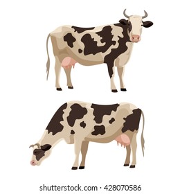 Spotted cow vector illustration set. Cute farm cattle domestic animal collection.