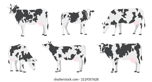 spotted cows on the white background volume 