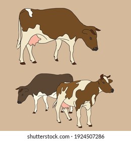 Spotted cows, vector illustration in sketch style. 