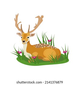 
Gespitztes, niedliches Hirsch liegt in einer Aufklärung. Rund um die Gegend wachsen Gras und rosafarbene Blumen.