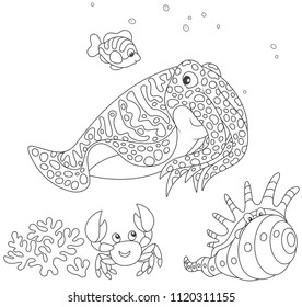 Spotted cuttlefish and a small striped fish swimming over a coral, a funny pink crab and a tropical shell, black and white vector illustration in a cartoon style for a coloring book