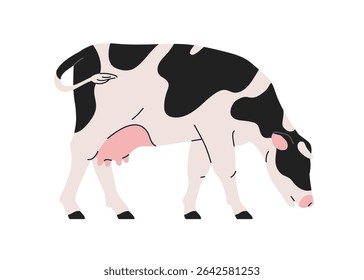 Vaca leiteira em pastagem, vista lateral. Animais de fazenda, gado alimentando, comendo de perfil. Animais domésticos com padrão preto manchado, cauda, úbere. Ilustração de vetor plano isolada no plano de fundo branco