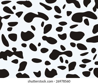 spotted dalmatian dog