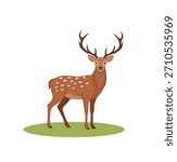 Spotted Deer with Large Antlers Standing on Green Grass