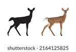 Spotted Deer with silhouette vector