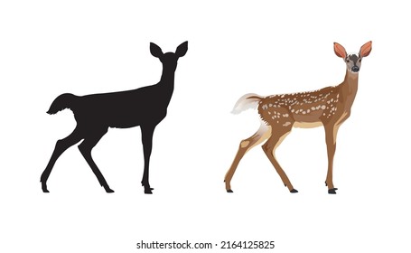 Spotted Deer with silhouette vector