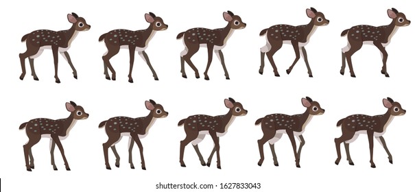 Spotted deer's walking cycle for animation. Steps of deer cub.