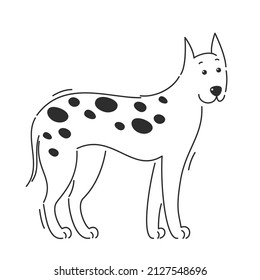 Spotted dog Great Dane breed. Cartoon vector illustration