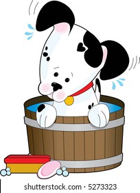 A spotted dog having a soapy bath