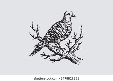  Spotted Dove bird perched on a tree branch vector art.                                           