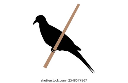 Spotted Dove Silhouette Design  And Vector Illustration. 