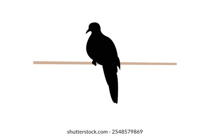 Spotted Dove Silhouette Design  And Vector Illustration. 