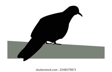 Spotted Dove Silhouette Design  And Vector Illustration. 