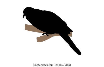 Spotted Dove Silhouette Design  And Vector Illustration. 