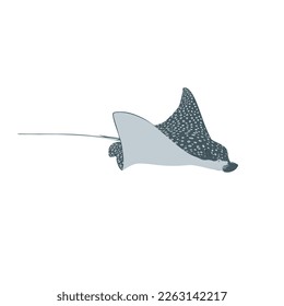 The spotted eagle ray, Aetobatus narinarivector design, png image with transparent background