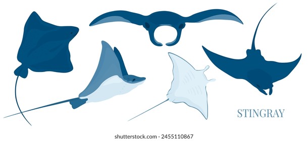 Gefleckter Adlerrochen, Stechrochen, Mantarochen. Vektorgrafik Stock Illustration. isoliert auf einem weißen Hintergrund. Set von Meer und Meer. Fisch. Unterwasserwelt.