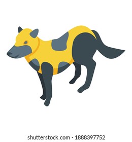 Spotted fox icon. Isometric of spotted fox vector icon for web design isolated on white background