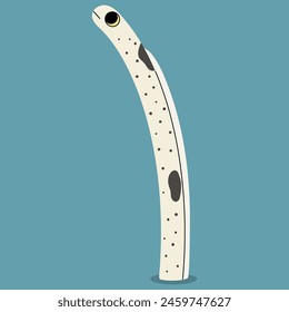 Spotted garden eel single 5 cute on a blue background, vector illustration.