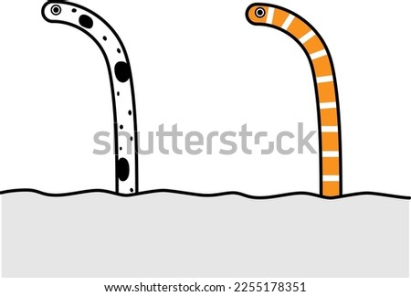 A spotted garden eel and A Splendid Garden Eel