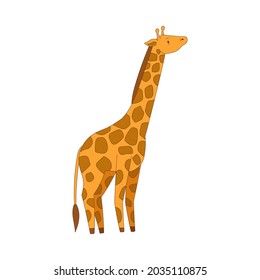 Spotted Giraffe with Long Neck as African Animal Vector Illustration