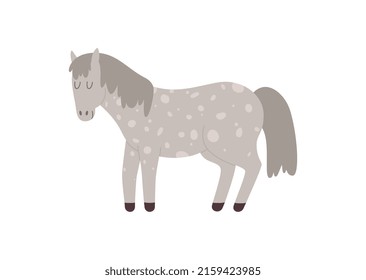 Spotted gray pony horse cartoon character, flat vector illustration isolated on white background. Pony for equestrian ride and riding lessons for children.