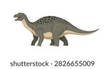Spotted herbivorous dinosaur walking on white background.