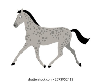 Spotted horse galloping. Animal character running. Vector isolated flat illustration