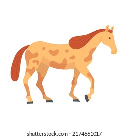 Spotted horse standing. Breed of horse flat vector illustration. Colorful domestic animals and running isolated on white