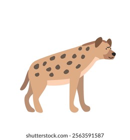 Spotted hyena cartoon clipart. Hyena vector illustration in flat style. Hand-drawn wild animal concept