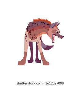 Spotted hyena character (Crocuta crocuta), also known as the laughing hyena isolated on white background. Front view Cartoon style vector illustration.