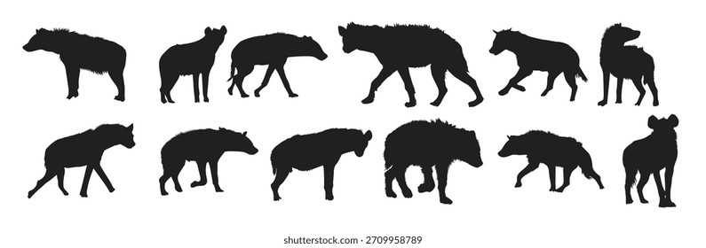 Conjunto de silueta de hiena manchada Ilustración vectorial