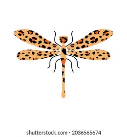 Spotted insect dragonfly on a white background. Trendy leopard print. Vector.